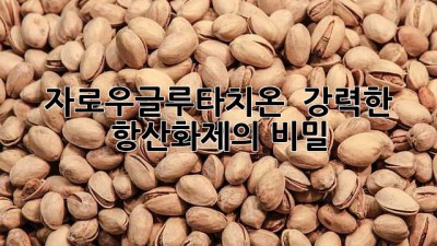 자로우글루타치온 ✨ 강력한 항산화제의 비밀 🤫