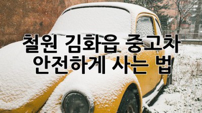 철원 김화읍 중고차 안전하게 사는 법